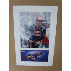 Mark Webber